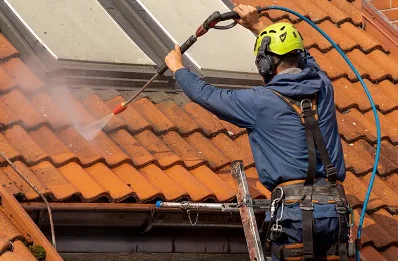 Démoussage et hydrofuge de toiture à Brannens